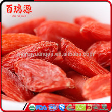 Goji ovario de la baya de goji en goji a granel de Paquistán de China